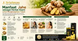 manfaat jahe sebagai herbal alami untuk membantu menghangatkan tubuh dan mendukung kenyamanan tubuh harian.