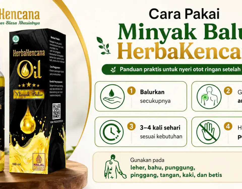 panduan menggunakan minyak balur untuk nyeri otot dengan produk Minyak Balur HerbaKencana sebagai perawatan luar.
