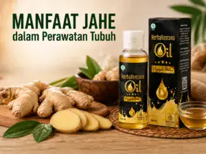 Manfaat jahe dalam perawatan tubuh dengan Minyak Balur HerbaKencana