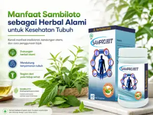 Manfaat sambiloto sebagai herbal alami untuk kesehatan tubuh dengan dukungan Samprohit Herbakencana