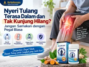 Nyeri tulang terasa dalam dan tak kunjung hilang dengan ilustrasi lutut sakit dan produk SamproHit HerbaKencana